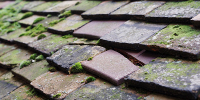 Simpson roof repair costs